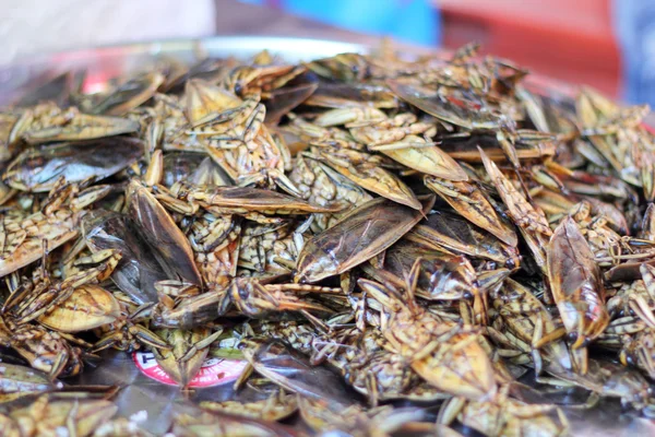 油炸昆虫的特写 — 图库照片