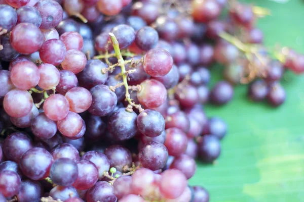 Fresh grapes on the market — Stock Photo, Image