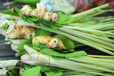 Limon otu, havlıcan, Güney Afrika'da bir kabile kireç yaprakları çorba.