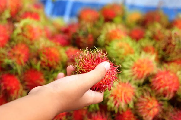 Sweet fruits rambutan in the market — Stock Photo, Image