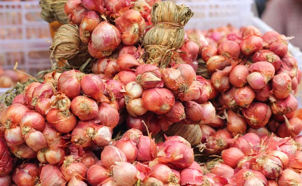 Šalotka - Asie červené cibule na trhu — Stock fotografie