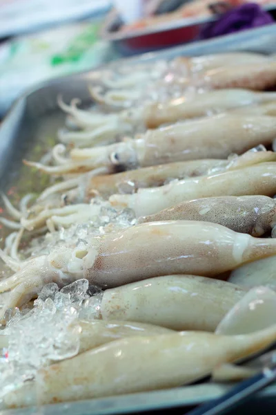 Fresh squid in the market — Stock Photo, Image