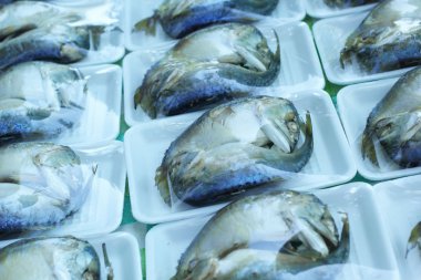 piyasada uskumru balığı