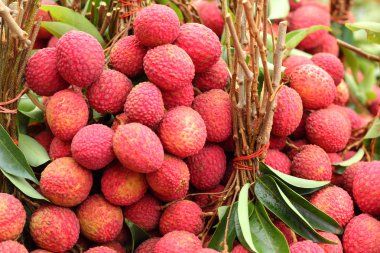 Olgun lychee piyasada