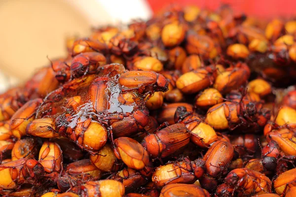 Nahaufnahme gebratener Insekten — Stockfoto