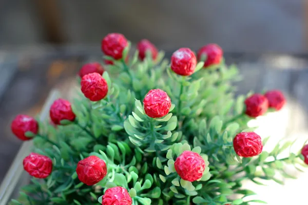 Piękne odmiany kwiatów sztucznych — Zdjęcie stockowe