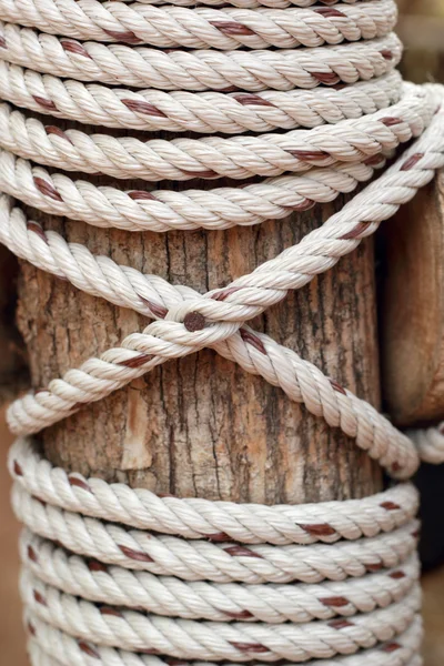 Latar Belakang Tali dengan kayu lama — Stok Foto