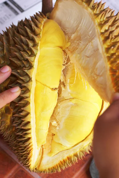 Durian meyvesi elinizin altında yenmeye hazır. — Stok fotoğraf