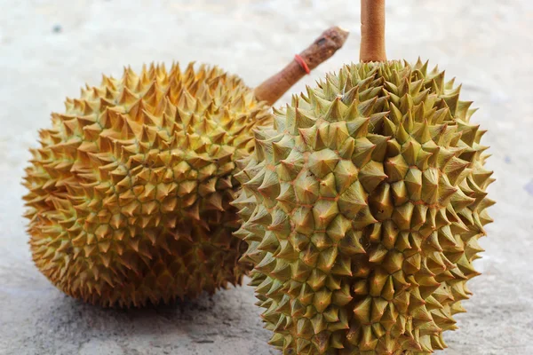 Durian owoców dojrzałych do jeść — Zdjęcie stockowe