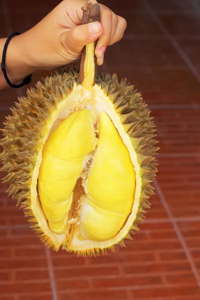 Durian fruit ripe for eaten in hand — Stock Photo, Image