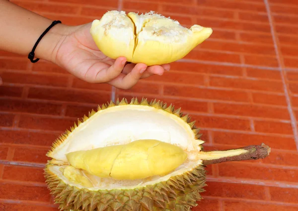 Frutto durian maturo per essere mangiato in mano — Foto Stock