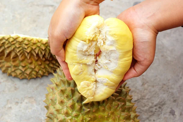 Durian meyvesi elinizin altında yenmeye hazır. — Stok fotoğraf