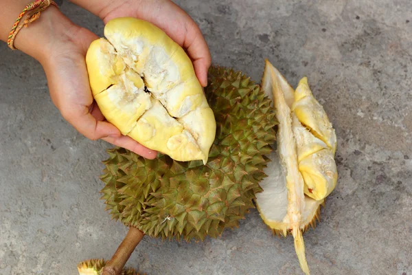 Duriaans fruit rijp om in de hand te eten — Stockfoto