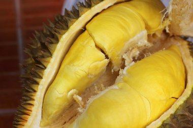 Durian meyve yemek için olgunlaşmış
