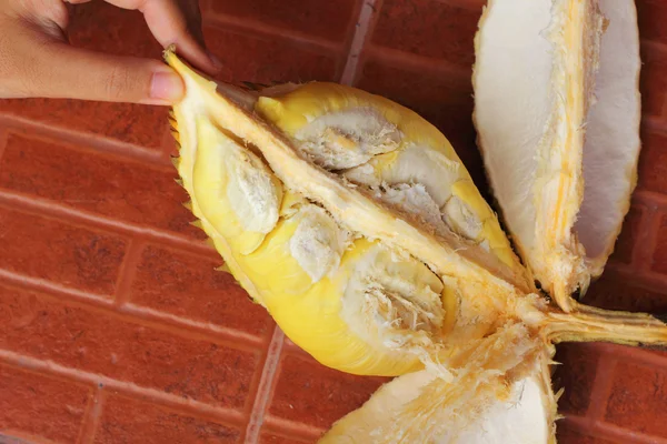 Fruta duriana madura para comer en la mano — Foto de Stock
