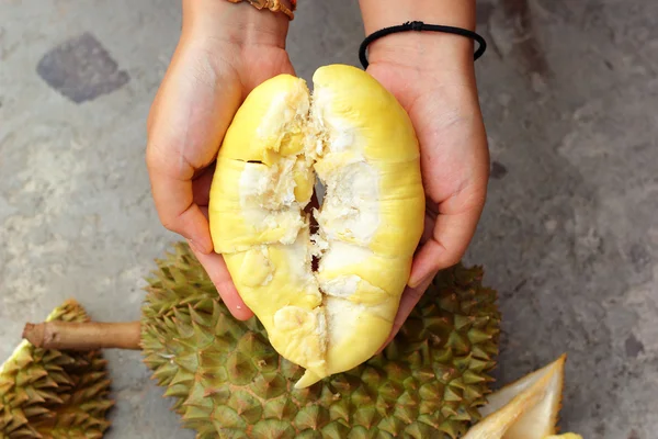 Owoce duriana dojrzałe do spożycia w ręku — Zdjęcie stockowe
