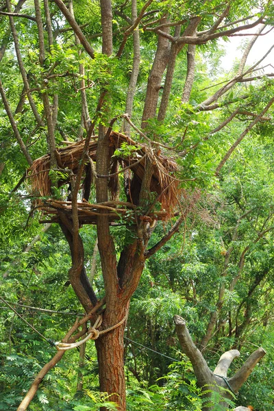 Maison sur un arbre dans le jardin avec la nature . — Photo