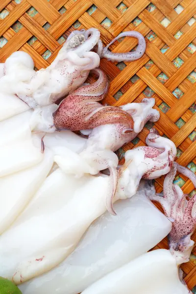 Calamar fresco en una canasta - para cocinar . — Foto de Stock