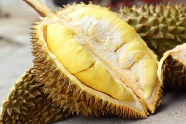 Durian meyve yemek için olgunlaşmış