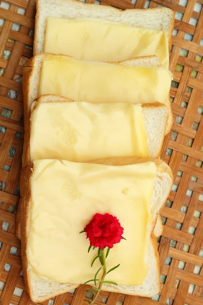Cheese the place on a slice of bread. — Stock Photo, Image