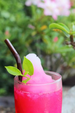 doğal çilek güler yüzlü