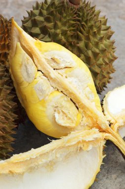 Durian meyve yemek için olgunlaşmış