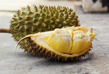 Durian meyve yemek için olgunlaşmış