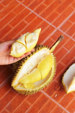Durian meyvesi elinizin altında yenmeye hazır.