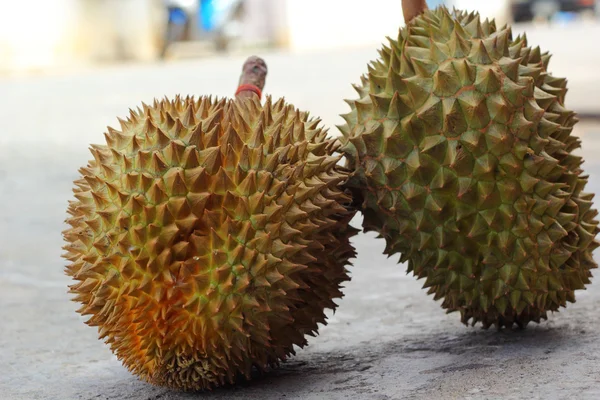 Durian meyve yemek için olgunlaşmış — Stok fotoğraf