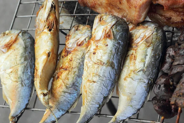Een heleboel makreel op de grill — Stockfoto