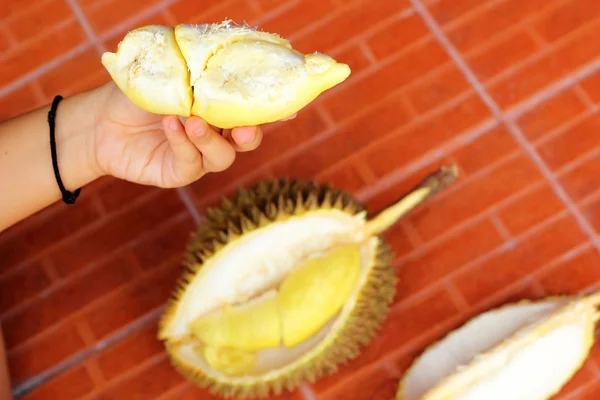 Fruta duriana madura para comer en la mano — Foto de Stock