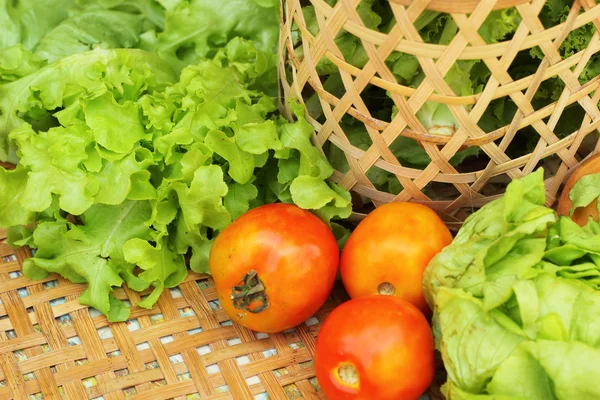 Salada de legumes e tomate na cesta — Fotografia de Stock