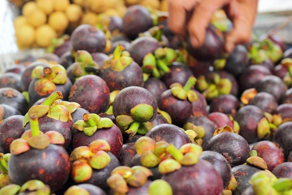 Fresh mangosteen in the Market — Stock Photo, Image