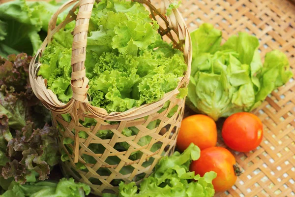 Zeleninový salát a rajče v koši — Stock fotografie