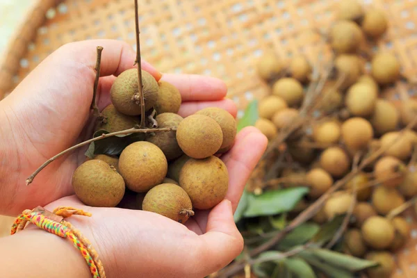 Longan ovoce v košíku — Stock fotografie