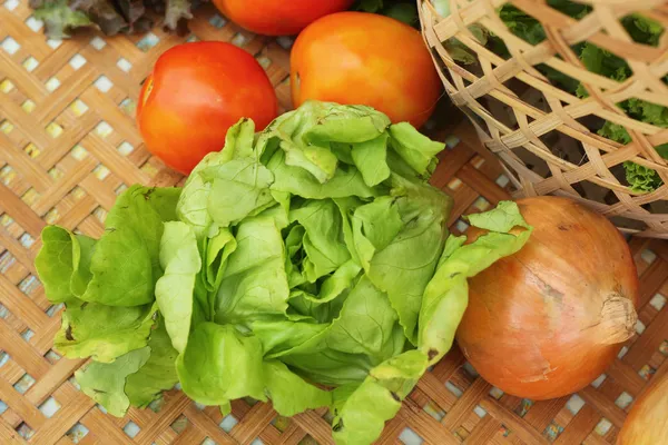 Sebze salata ve domates sepeti — Stok fotoğraf