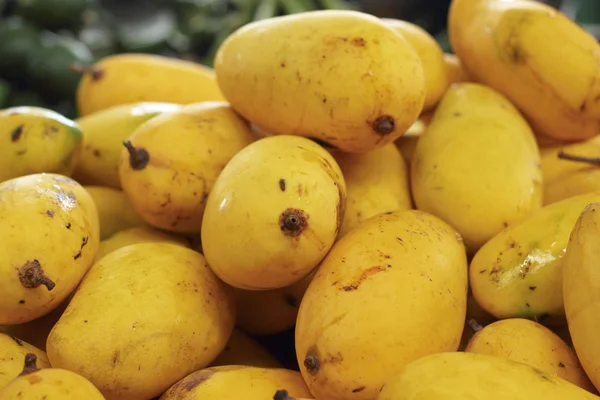 Ripe mango in the market — Stock Photo, Image