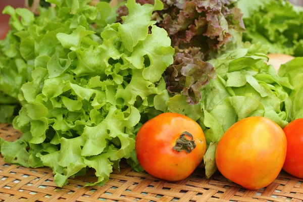 Gemüsesalat und Tomaten im Korb — Stockfoto