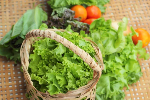 Insalata di verdure e pomodoro nel cestino — Foto Stock