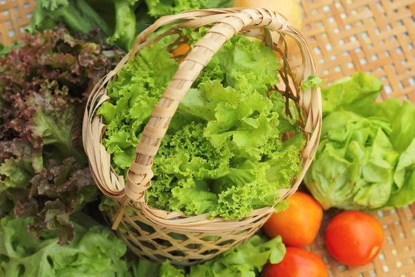 Gemüsesalat und Tomaten im Korb — Stockfoto