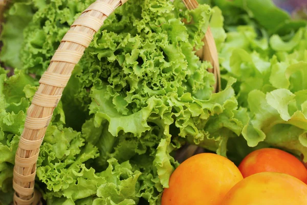 Ensalada de verduras y tomate en la canasta — Foto de Stock