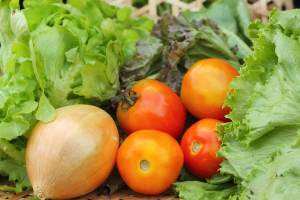 Grönsaker sallad och tomat i korgen — Stockfoto