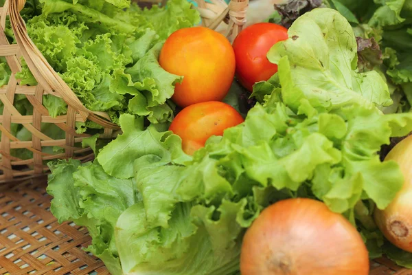 Grönsaker sallad och tomat i korgen — Stockfoto