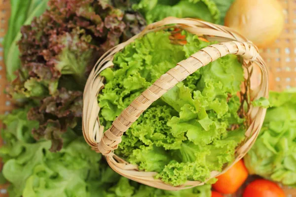 Zeleninový salát a rajče v koši — Stock fotografie