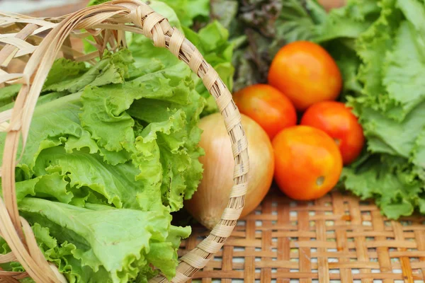 Grönsaker sallad och tomat i korgen — Stockfoto