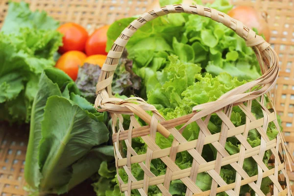 Gemüsesalat und Tomaten im Korb — Stockfoto