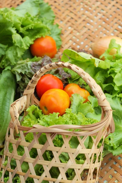 Grönsaker sallad och tomat i korgen — Stockfoto