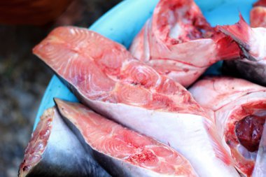 Pazarda taze balık.