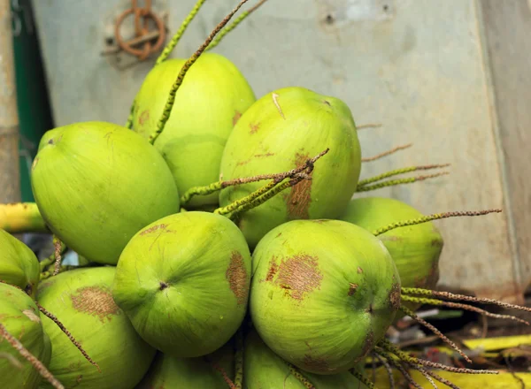 Kokosnød frugt på markedet - Stock-foto