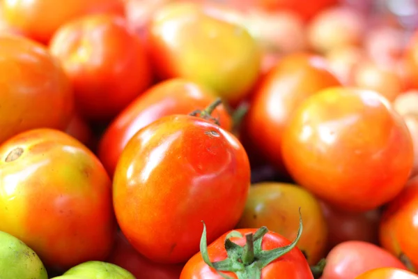 Tomates frescos no mercado — Fotografia de Stock